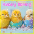 happy spring