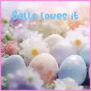 Belle love it