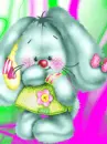 bunny