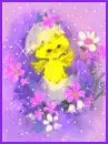 chick