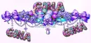Easter Spring Personalised Page Divider - Set 1 - Style 2