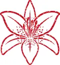 lilies
