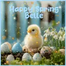happy spring Belle