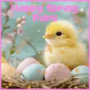 happy spring Pami