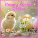 happy spring Robbie