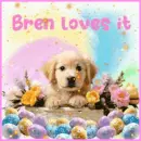 Bren loves it