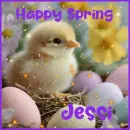 happy spring Jessi