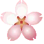 spinning flower pink