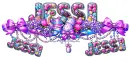Personalised Page Divider - Jessi - Set 2 - Style 1