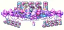 Personalised Page Divider - Jessi - Set 2 - Style 4