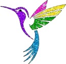 hummingbird