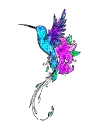 hummingbird