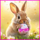 Bren