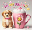 Hi my Friend