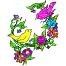 spring birds