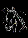 arabian horse