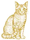 cat