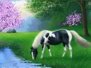 horse grazing