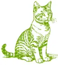 cat