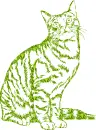 cat