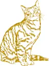 cat