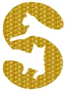S