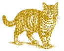 cat
