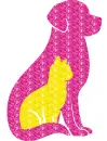 cat - dog