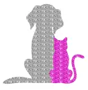 cat - dog