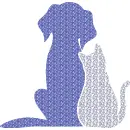 cat - dog