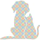 cat - dog