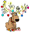 christmas Reindeer