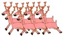 running Reindeers