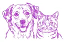 cat - dog