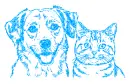 cat - dog