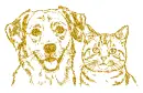 cat - dog