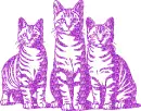 cats