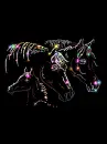 Arabian horses