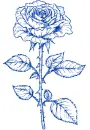 rose