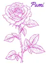 Pami