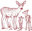 mother and baby deer