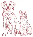 cat and dog