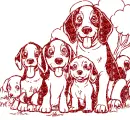 beagle family