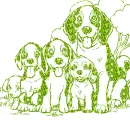beagle family
