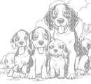beagle family
