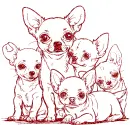 chihuahua family