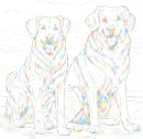 Golden retrievers 