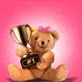 teddy bear won