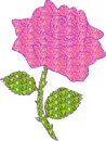 rose