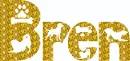 Bren